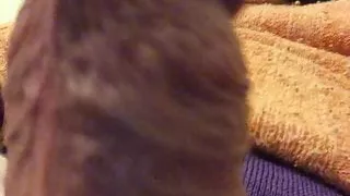 I want your beautiful tender and hairy tight sweet wet cunt!