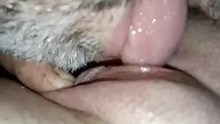 Licking pussy