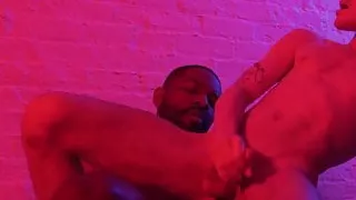 Baari, Musta, Domina, Pikimusta, Rotujenvälinen, Piiska