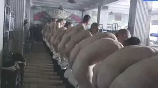 Many Draftees Medically Examined