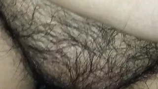 chatte poilu jador ca