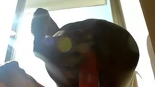 DJ Buttpussy - Alien Batty