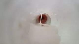 Amatööri, Sperma, Homo, Masturbointi, Pieni Muna, Lelut