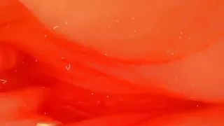 Amanda W fingering herself in the shower