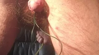 Eier hart gefesselt unter dem Arsch durchgezogen und gewichst