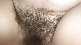 Hairy Bush