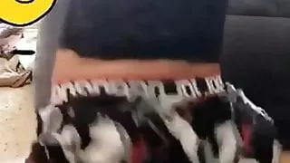 Amateursex, Ghettosex