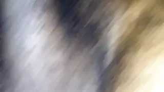 Renae sucks soft BBC