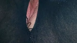 chubby girlfriend  fingering pussy through leggings