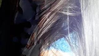 Cum Tribute Carol Chamberlain