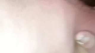 Lisa la vacca di notte