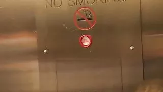 Elevator sex