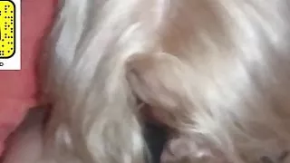 sucking boyfriend until he cums in mouth