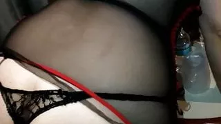 Lidia culona mexicana