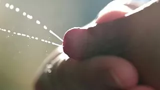 Milking Norwegian tit in slow motion