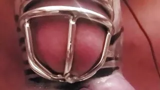 Tropfende Wichse in Elektro-Keuschheit