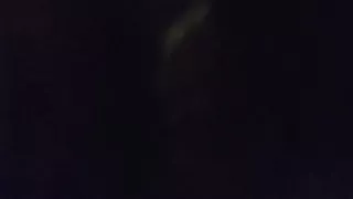 Sucking MASTERS cock