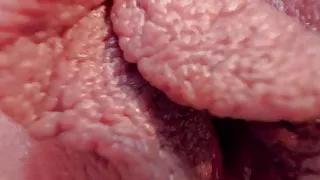 Close-up pussy with extremely detail