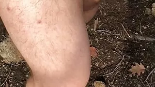 Walking in the woods