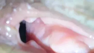 penampakan memek aku sesudah di cukur