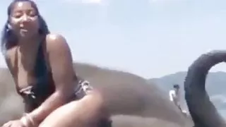 Just a funny compliation (no porn)