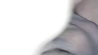 Para de camelo cavalga macio