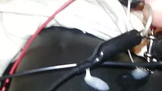 Schätzung aus dem Penisplug