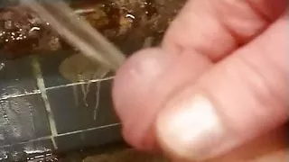 Pinkeln am S-Bahnhof Wuhletal