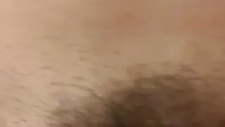 White dick going in hairy pussy