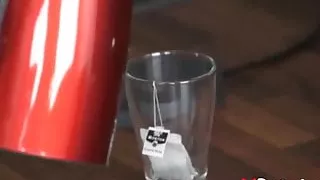 Sexe avec cette chienne sur les sites