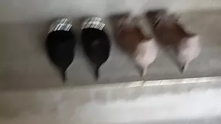 Peeing in her stilettos is a treat