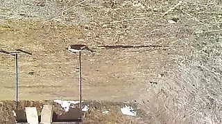 Selenakata Knpokarate Naginata