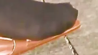 Girl with nylons looks her high shoes and wobbles toes