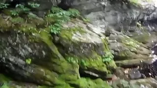 Naked  Nature Challenge We dare  ! Search Join and Post