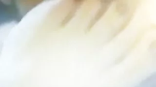 I love when they suck my feet and toes