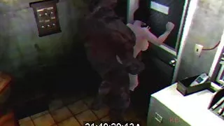 Jill Valentine Vs. Nemesis (SFM)