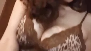 Chienne francaise avec de bonnes formes