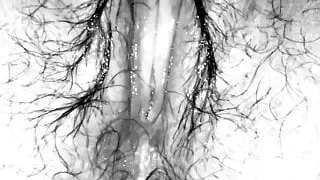 My Wet Pussy Waiting For who?