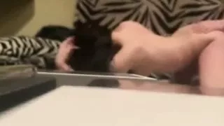 Ceca- hoces da me jebes od pozadi?