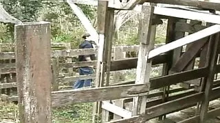 Analsex, Bar, Blowjob, Latino