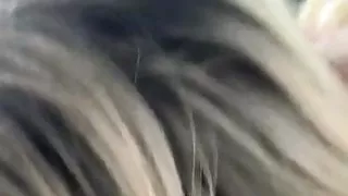 Young Street Whore Blows