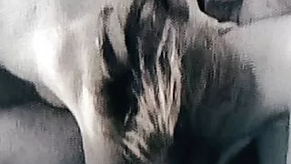 Blowjob and dick sitting (part 1)