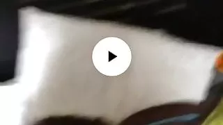 A fat man who fucks a slim woman