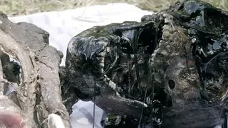 Secrets Of The Mysterious Lake