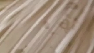 Allison taking a cumshot on her asshole