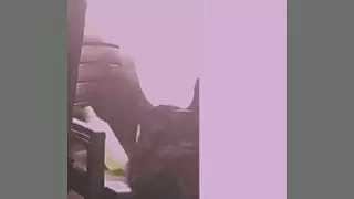 Mallu young village bhabhi bra show