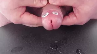 Töne in den Mund eines albern aussehenden Schwanzes füttern.