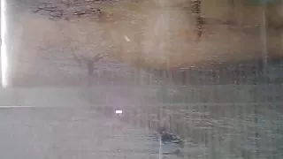 Sexy Lady Taking A Shower