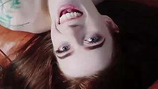 Wren Playing on Twitter 01