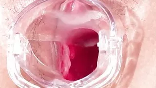 Makoto Shiraishi :: Pussy Encyclopedia 2 - CARIBBEANCOM